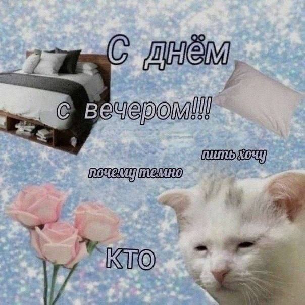 Мемы, Которые Пишут Историю — Bugaga