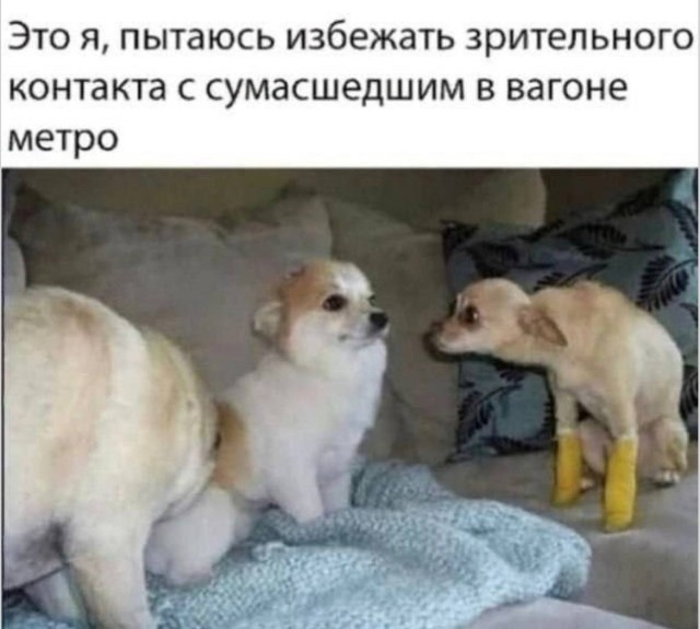 Смешно и немного странно — мемы | Bugaga