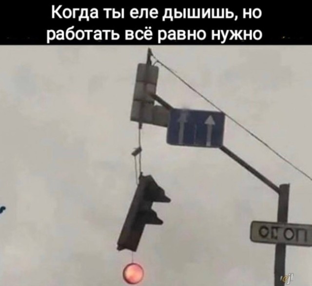 Энциклопедия жизненных провалов — смешные фото | Bugaga