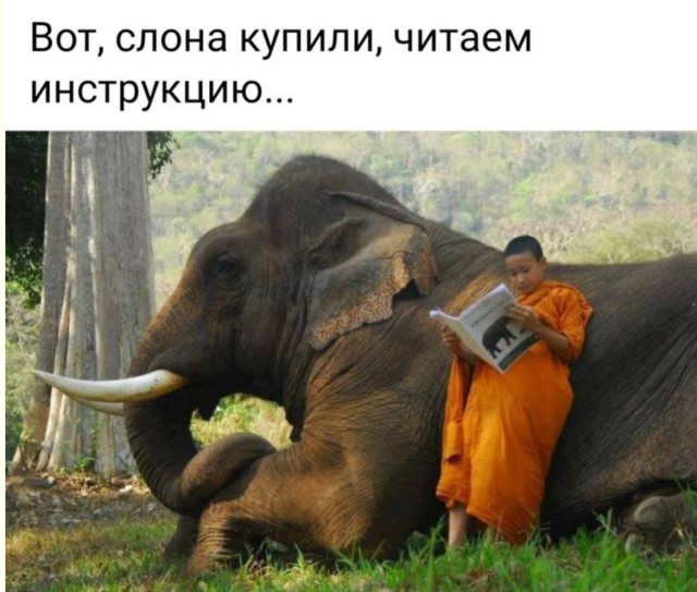Мемы, которые нельзя показывать на работе — смешные фото/мемы/приколы | Bugaga