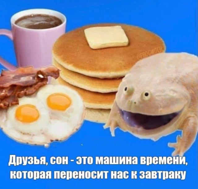 Полный трэш-пакет — смешные фото/мемы/приколы | Bugaga