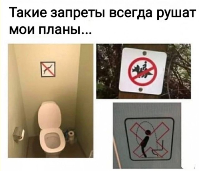 Калейдоскоп Тотального Бреда — смешные фото/мемы/приколы | Bugaga