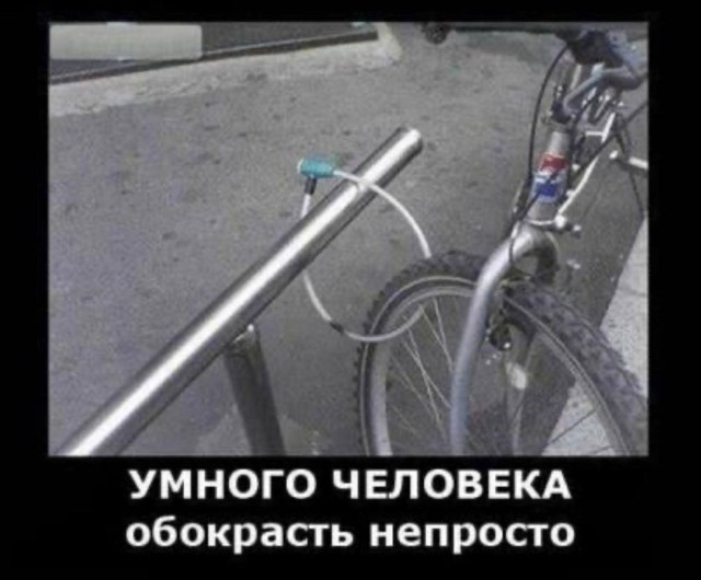Эмоциональные качели с крыльями — смешные фото | Bugaga
