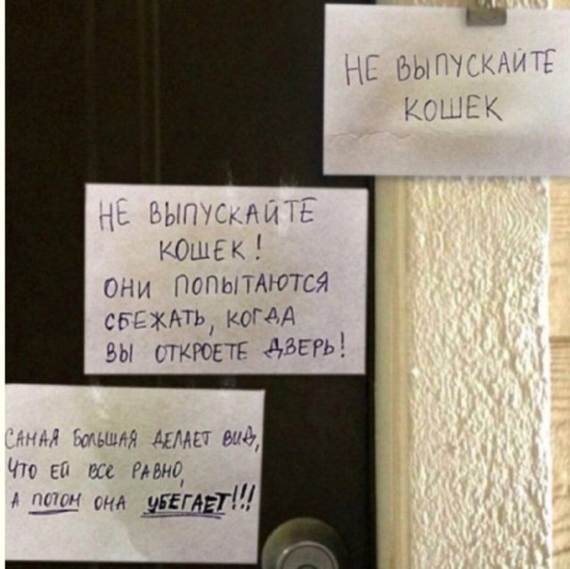 Хаос в чистом виде — мемы | Bugaga