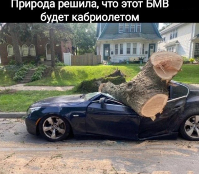 Хаос, Который Мы Заслужили — смешные фото/мемы/приколы | Bugaga