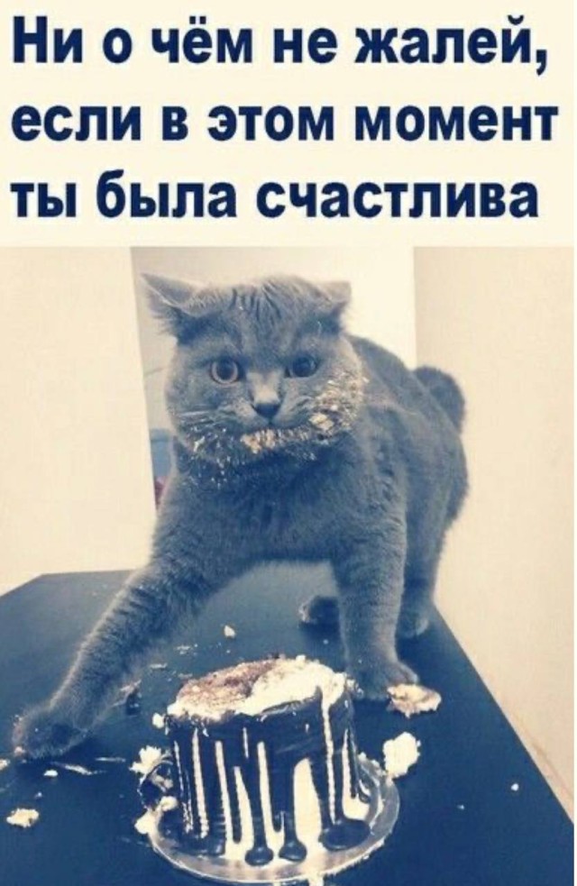 Сборник потерянных нервных клеток — смешные фото | Bugaga