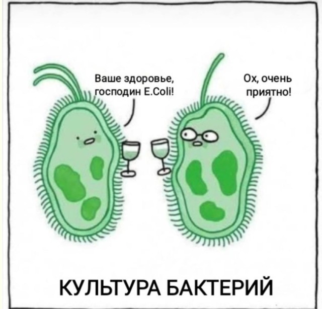 Полка абсурда: выше только звезды — мемы | Bugaga