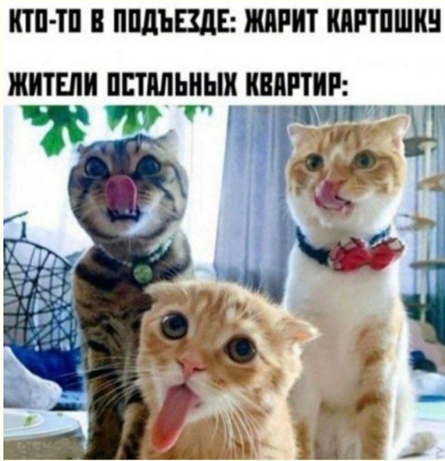 Психушка на выезде — мемы | Bugaga