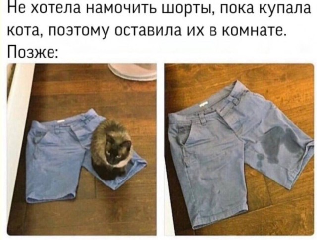 Апокалипсис вчерашнего вечера — мемы | Bugaga