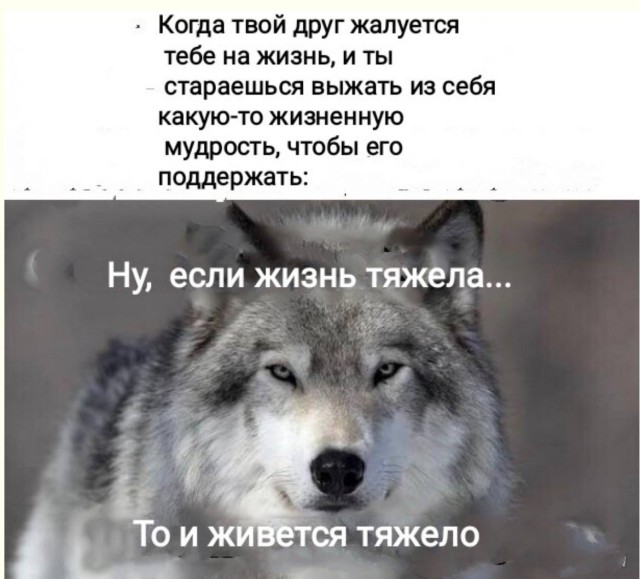 Космический трэш и угар — смешные фото/мемы/приколы | Bugaga