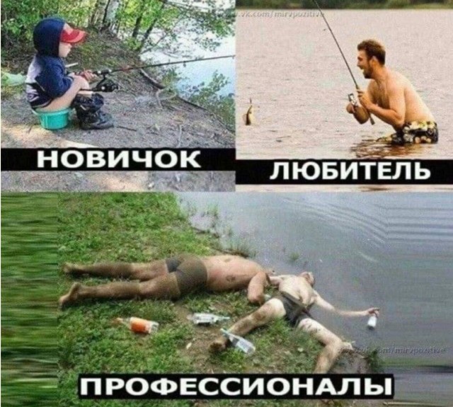 Мозг сказал «не сегодня» — приколы | Bugaga