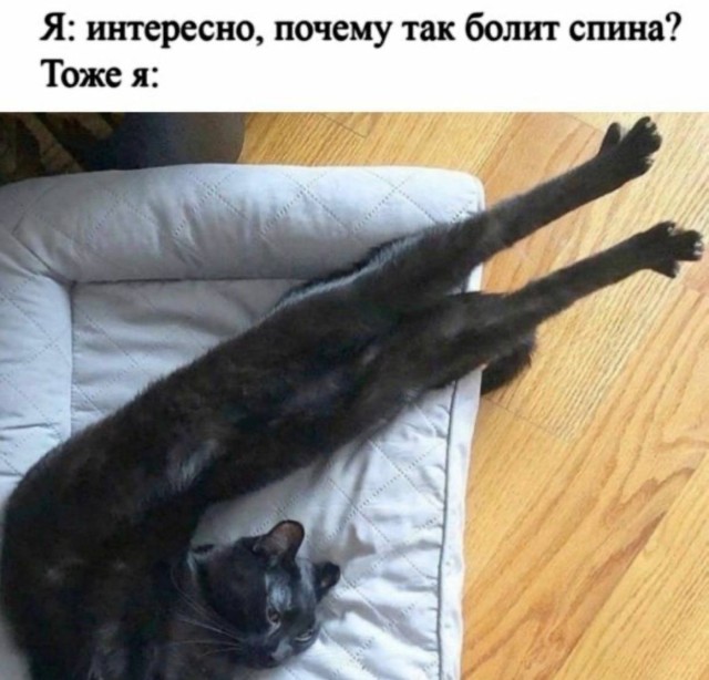 Мемный апокалипсис сегодня — смешные фото/мемы/приколы | Bugaga