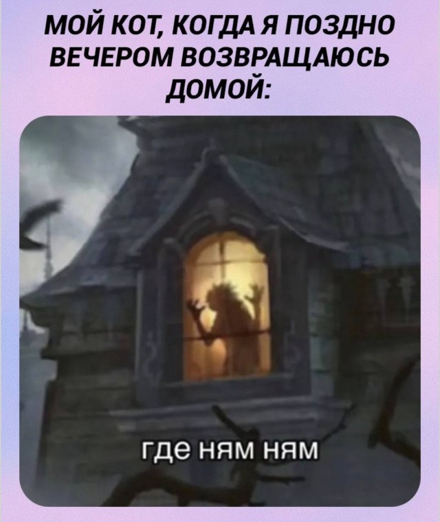 Ничего не понятно, но очень смешно — мемы | Bugaga
