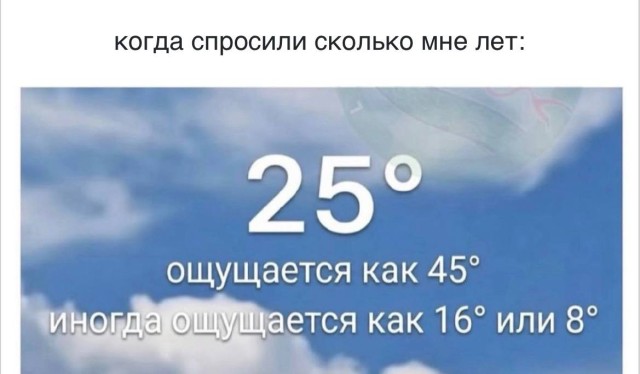 Пятиминутка прокрастинации уровня «эксперт» — приколы | Bugaga
