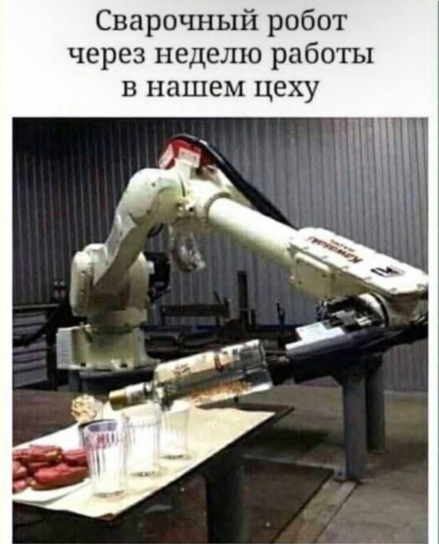 Когда котики правят миром — смешные фото/мемы/приколы | Bugaga