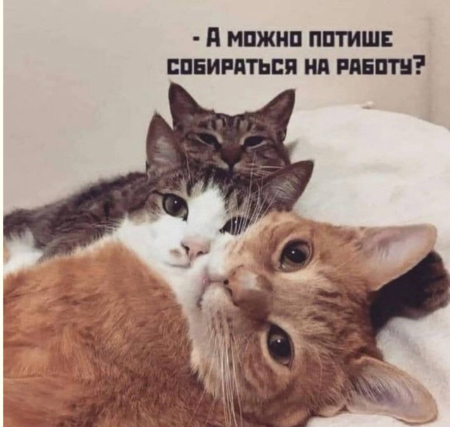 Когда шутки живут своей жизнью — приколы | Bugaga