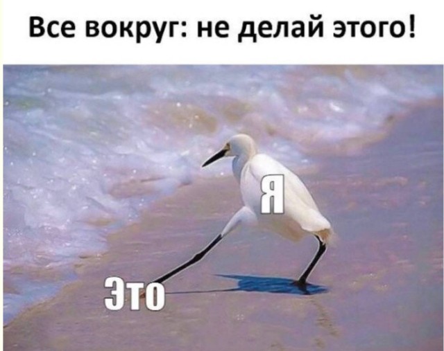 Суббота как зеркало души — приколы | Bugaga
