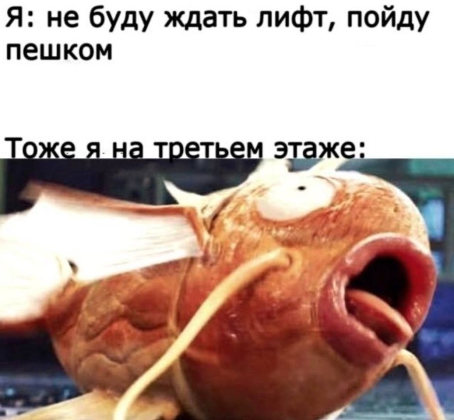 Сборник для тех, кто уже сломался — смешные фото/мемы/приколы | Bugaga