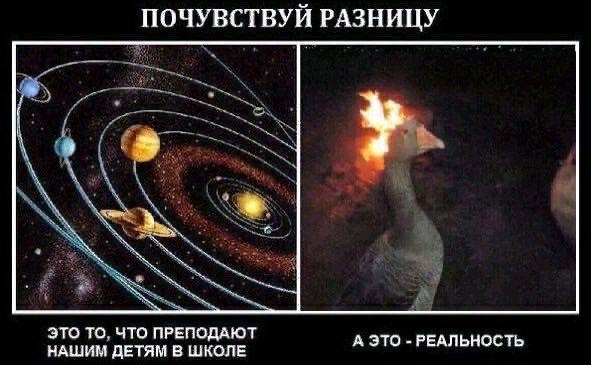 Мысли в душе, которые исчезают с водой — мемы | Bugaga