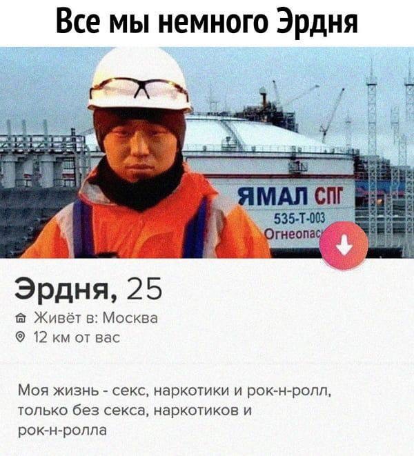 Диалог кота с кактусом на подоконнике — смешные фото | Bugaga