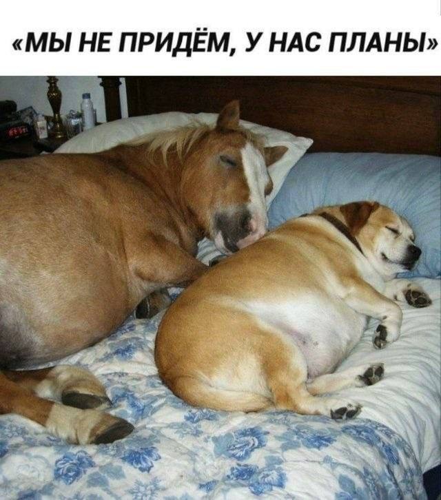 Бизнес-план на миллион, нарисованный на салфетке — мемы | Bugaga