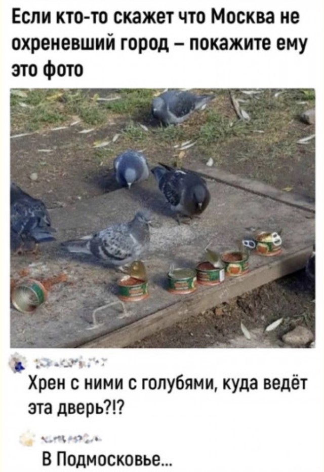 Конструктор из осколков реальности — смешные фото и приколы | Bugaga