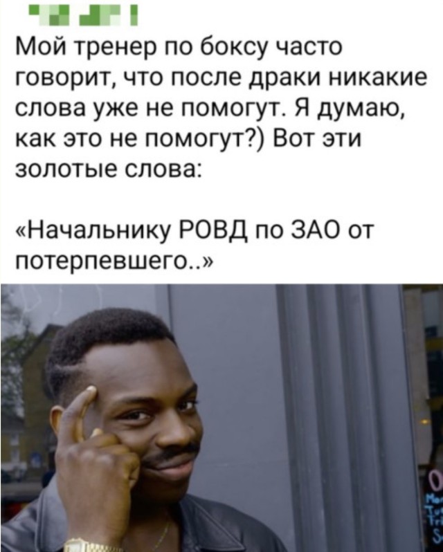 Мудрость поколения Z и котов, застрявших в коробках — смешные фото | Bugaga