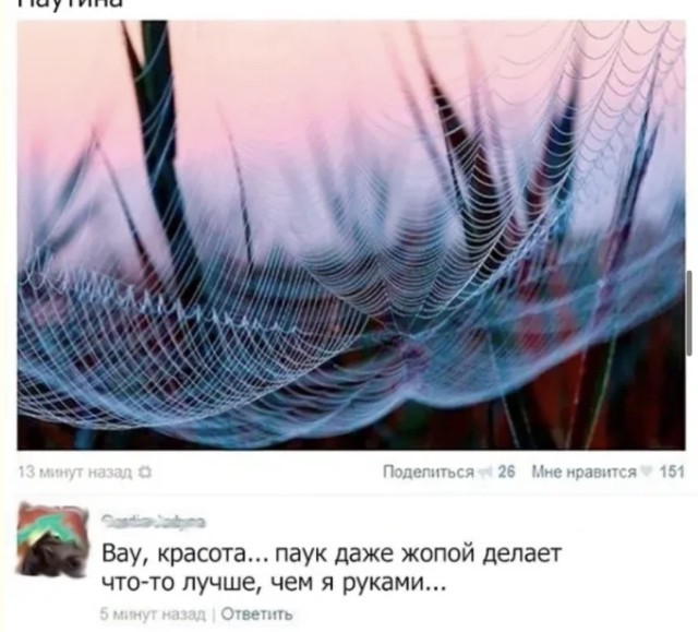 Психологическая помощь: лечим стресс дозой абсурда — смешные фото | Bugaga
