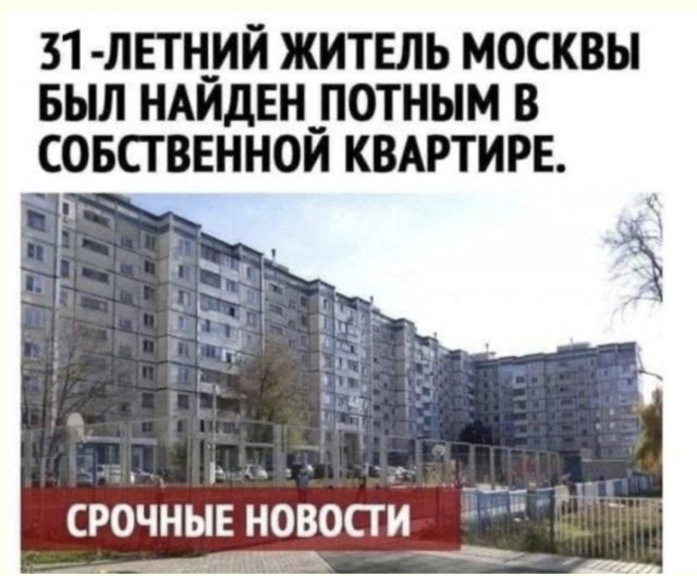 Искусство ничего не делать с профессиональной точки зрения — мемы | Bugaga