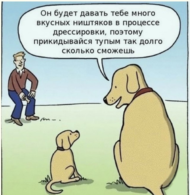 Инструкция по взлому настроения через смешные картинки — мемы | Bugaga