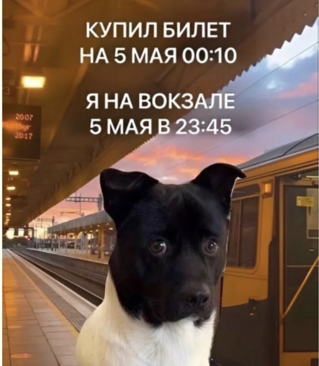 Бабушка, которая застала динозавров — смешные фото | Bugaga