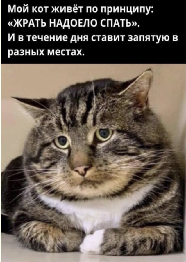 Утренний я против вечернего я — приколы | Bugaga