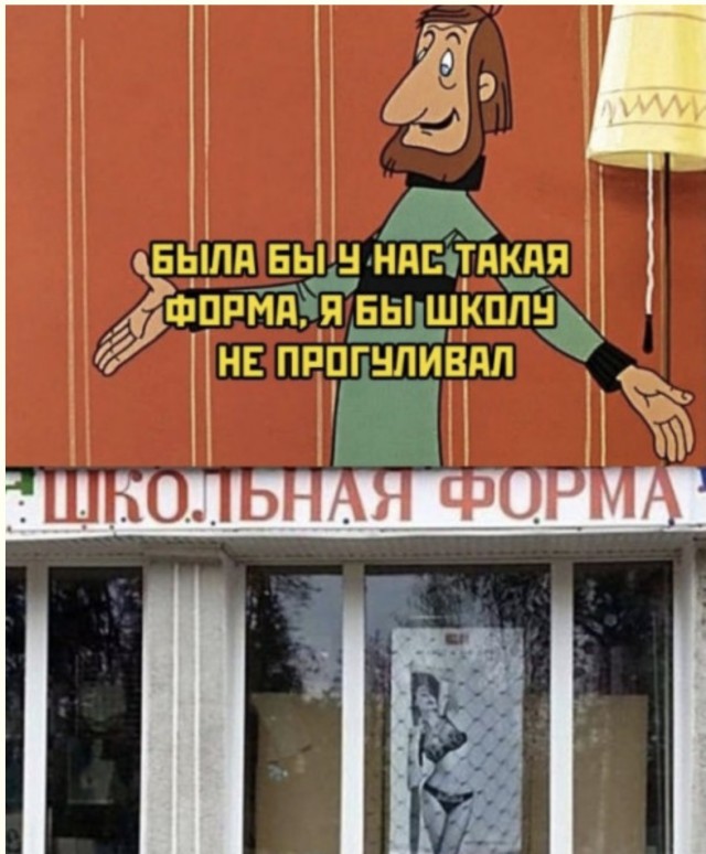 Заседание тайного общества ленивцев — приколы | Bugaga