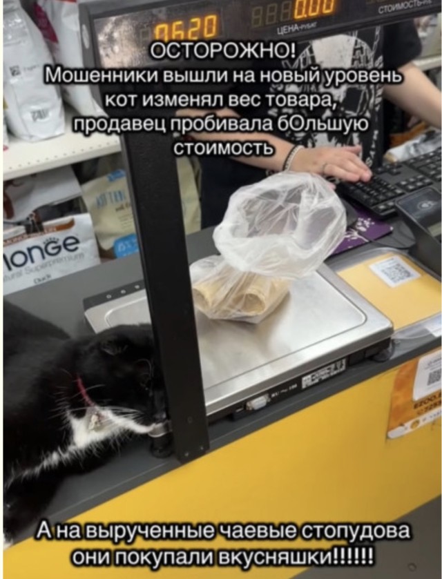 Дорожная карта выходного дня — смешные фото | Bugaga
