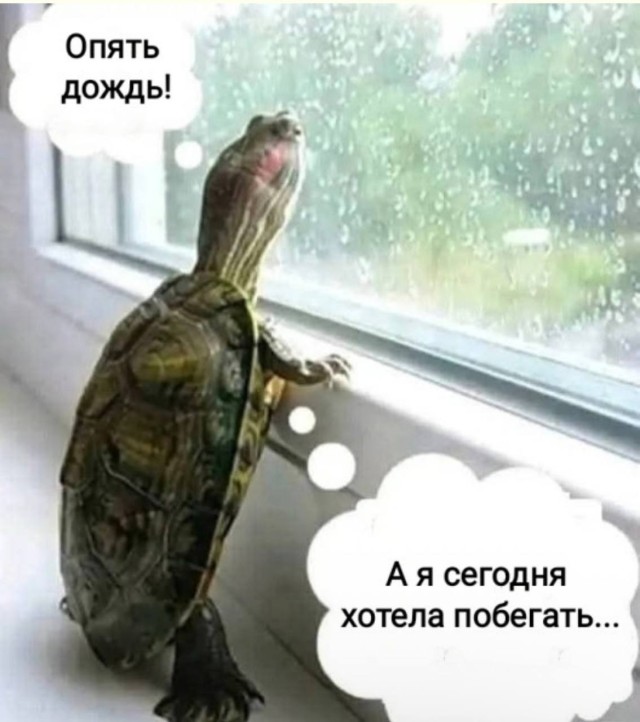 Мемы уровня «я не в порядке» — Сборник убойных приколов | Bugaga