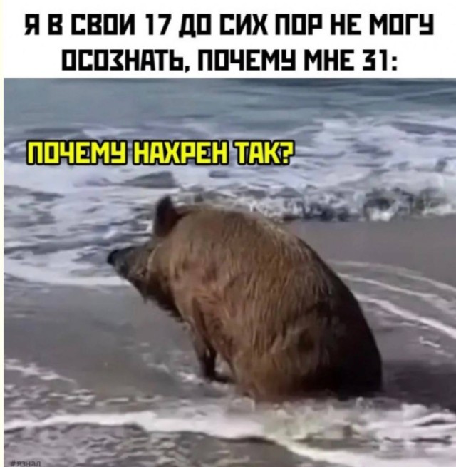 Трехэтажный экспресс веселья — приколы | Bugaga