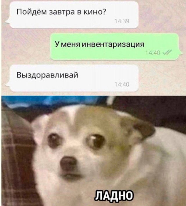 Сборная солянка из интернет-артефактов — мемы и приколы | Bugaga