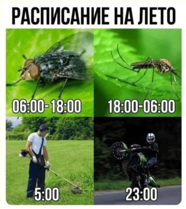 Дзынь — и ты в кроличьей норе — мемы | Bugaga