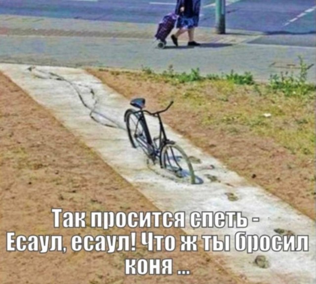 Тотальный раздрай в картинках — сборник приколов | Bugaga