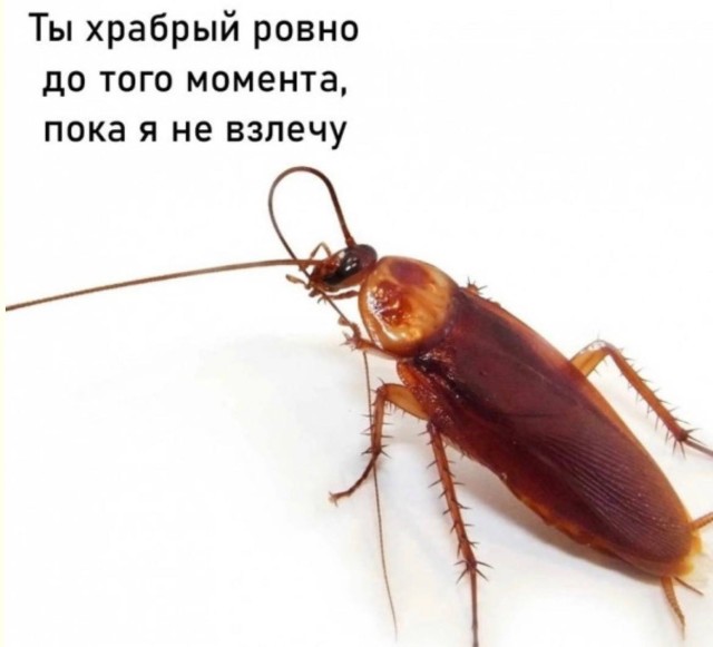 Неловкое молчание заменено на громкий смех — картинки и мемы | Bugaga