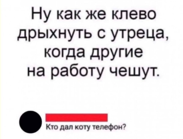 Конструктор из осколков реальности — смешные фото и приколы | Bugaga