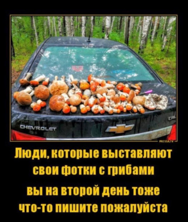 Шоу невероятных совпадений — мемы и приколы | Bugaga
