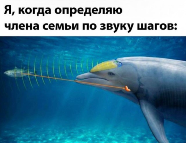 Мемы, которые шепчут «удали историю» — Секретный сборник | Bugaga