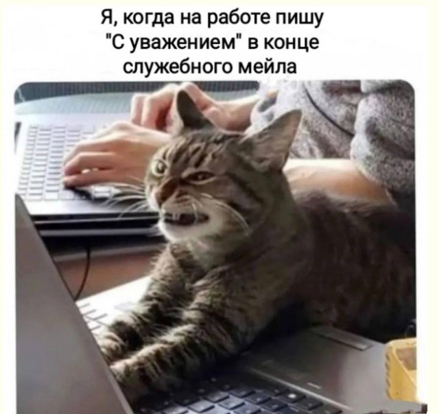 Реальность в режиме бета-тестирования — смешные фото/мемы/приколы | Bugaga