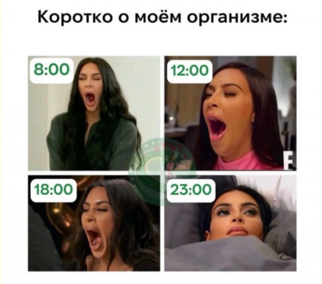 Хаос в голове и гигабайт смеха — смешные фото | Bugaga