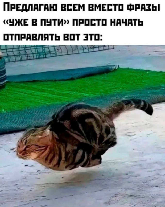 Антикризисный менеджер настроения — смешные фото и мемы | Bugaga