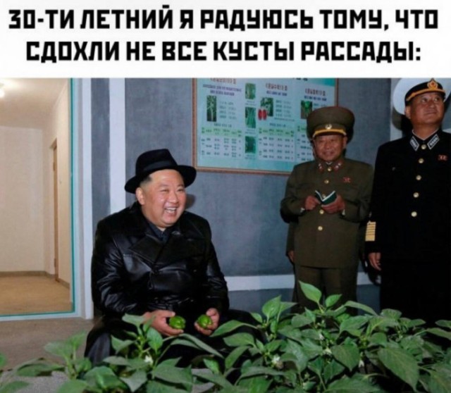 Сборник мемов «Я предупреждал» — Но ты всё равно посмеёшься | Bugaga