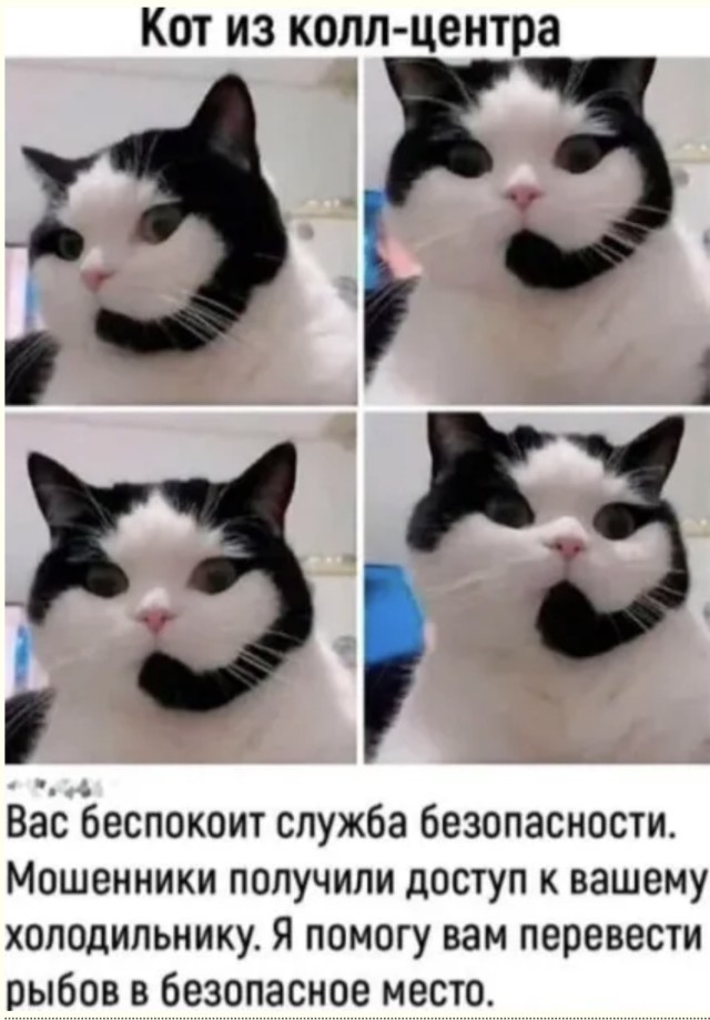 Когда реальность пишет фанфик на твою жизнь — смешные фото/мемы/приколы | Bugaga