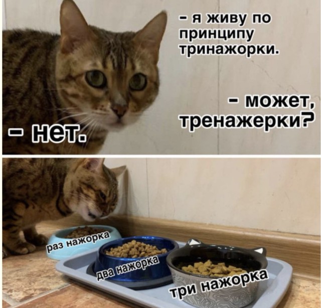 Сборник мемов, которые нельзя показывать маме — смешные фото/мемы/приколы | Bugaga