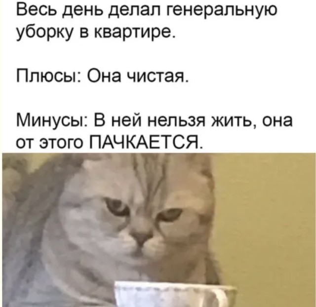 Когда вселенная решила пошутить над всеми нами — смешные фото/мемы/приколы | Bugaga
